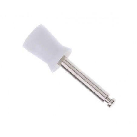 MICRODONT CUPULES PROPHY CUPS