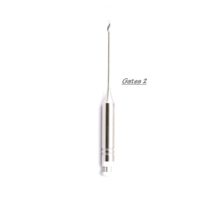 FORET GATES MICRODONT GLIDDEN 28MM - 2